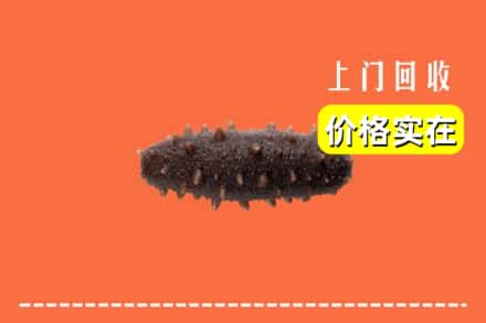 诚信求购:大连甘井子区高价回收海参