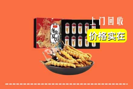 大连甘井子区回收虫草